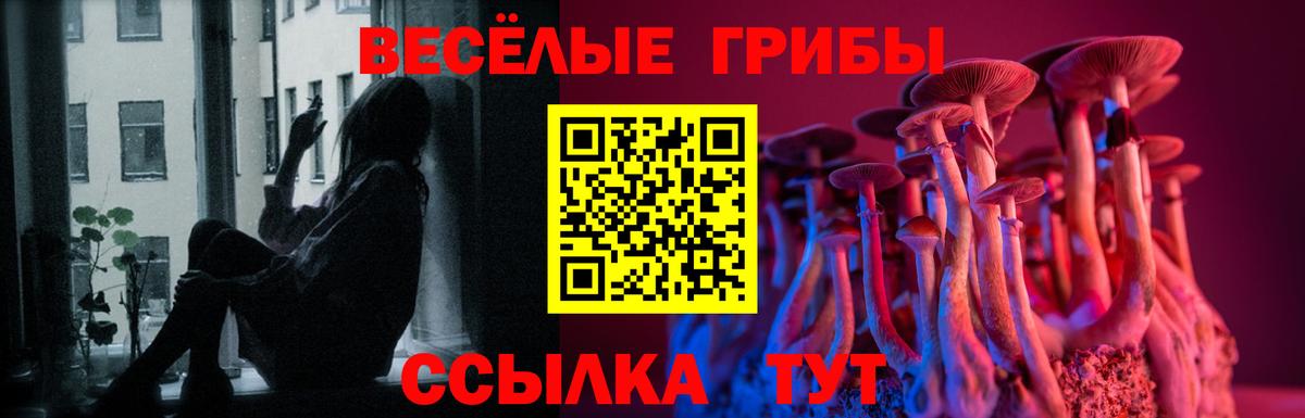 Псилоцибиновые грибы мухоморы  Псилоцибиновые грибы GOLDEN TEACHER  Куйбышев  Вход с VPN 